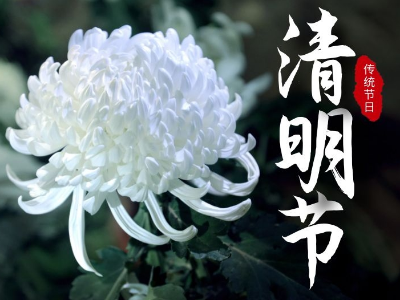 今日清明，睿寂行緬懷先烈！