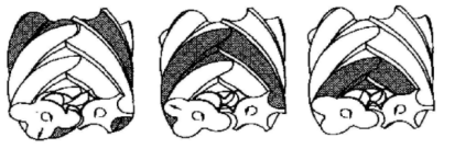 螺桿空壓機(jī)的壓縮過(guò)程 螺桿空壓機(jī)的壓縮過(guò)程
