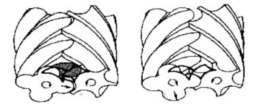 螺桿空壓機(jī)的排氣過(guò)程 螺桿空壓機(jī)的排氣過(guò)程