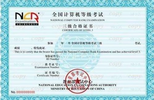 全國(guó)計(jì)算機(jī)等級(jí)考試與計(jì)算機(jī)系統(tǒng)集成資質(zhì) 等級(jí)劃分與區(qū)別詳解