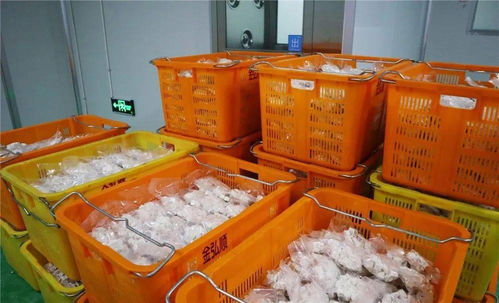 從同安到赤錫,永泰這個(gè)農(nóng)產(chǎn)品加工廠越做越大